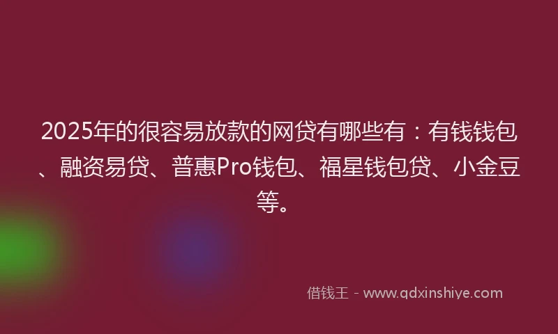 2025年的很容易放款的网贷有哪些有：有钱钱包、融资易贷、普惠Pro钱包、福星钱包贷、小金豆等。