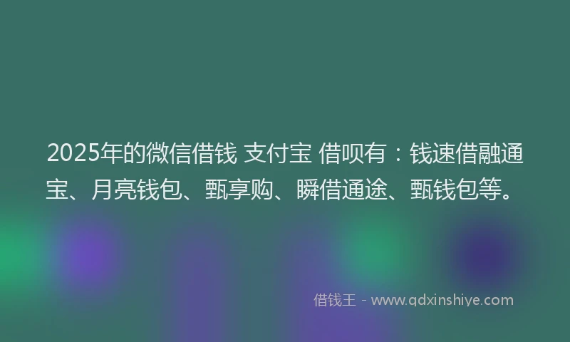 2025年的微信借钱 支付宝 借呗有：钱速借融通宝、月亮钱包、甄享购、瞬借通途、甄钱包等。