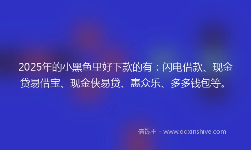 2025年的小黑鱼里好下款的有：闪电借款、现金贷易借宝、现金侠易贷、惠众乐、多多钱包等。