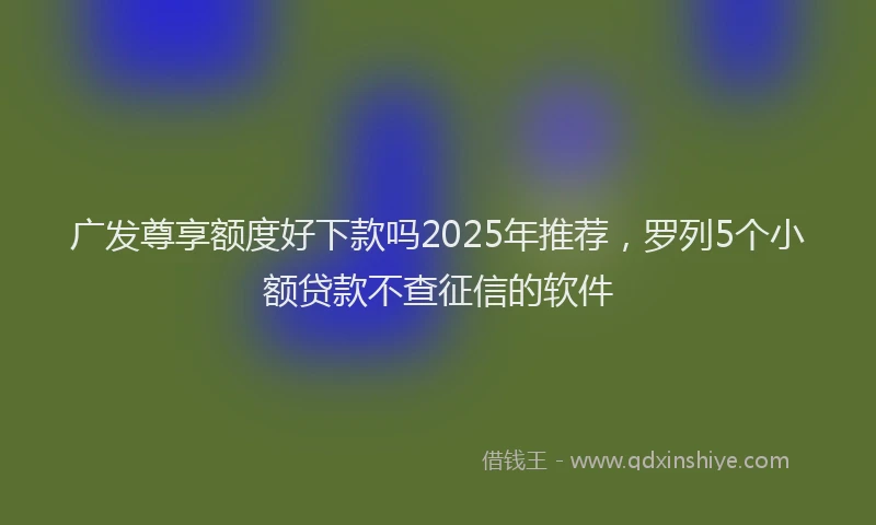 广发尊享额度好下款吗2025年推荐，罗列5个小额贷款不查征信的软件