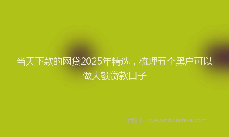 当天下款的网贷2025年精选，梳理五个黑户可以做大额贷款口子