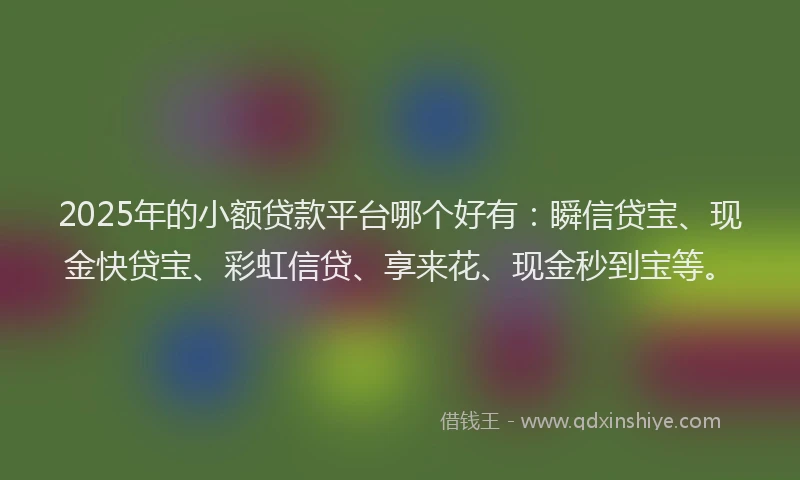 2025年的小额贷款平台哪个好有：瞬信贷宝、现金快贷宝、彩虹信贷、享来花、现金秒到宝等。
