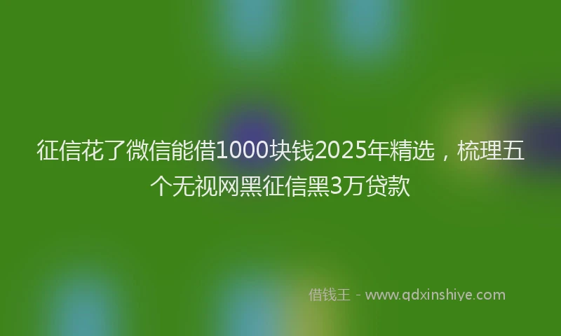 征信花了微信能借1000块钱2025年精选，梳理五个无视网黑征信黑3万贷款