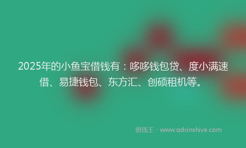 2025年的小鱼宝借钱有：哆哆钱包贷、度小满速借、易捷钱包、东方汇、创硕租机等。