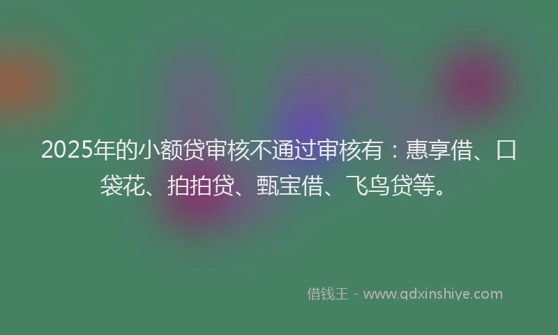 2025年的小额贷审核不通过审核有：惠享借、口袋花、拍拍贷、甄宝借、飞鸟贷等。