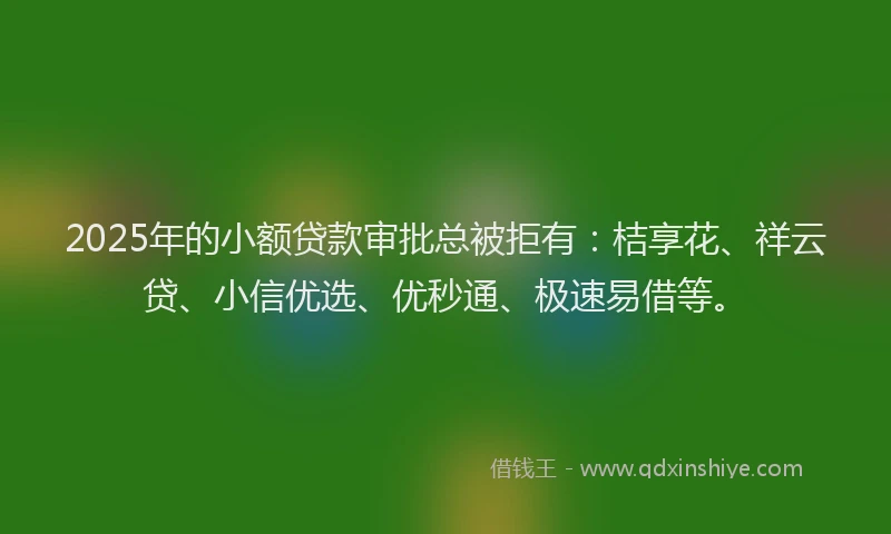 2025年的小额贷款审批总被拒有：桔享花、祥云贷、小信优选、优秒通、极速易借等。