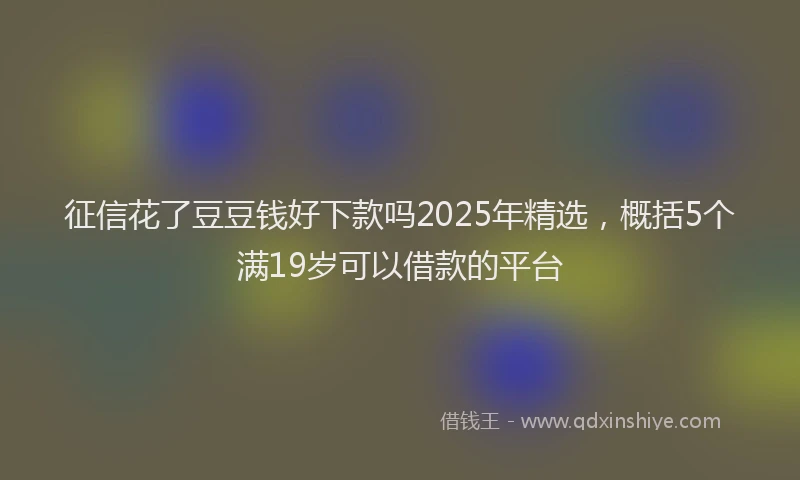 征信花了豆豆钱好下款吗2025年精选，概括5个满19岁可以借款的平台
