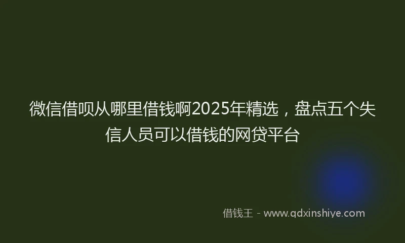 微信借呗从哪里借钱啊2025年精选，盘点五个失信人员可以借钱的网贷平台
