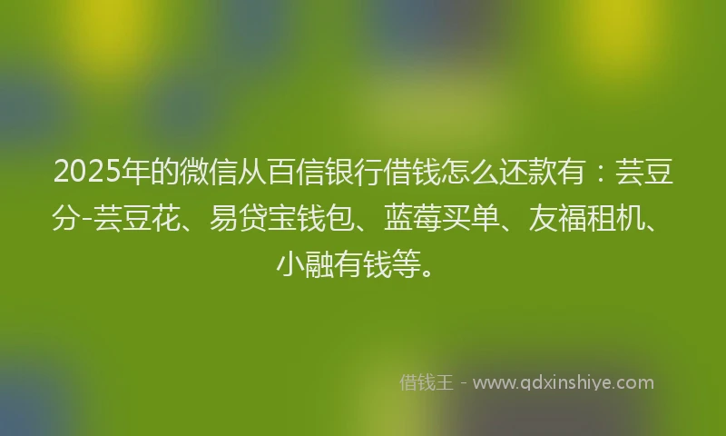 2025年的微信从百信银行借钱怎么还款有：芸豆分-芸豆花、易贷宝钱包、蓝莓买单、友福租机、小融有钱等。