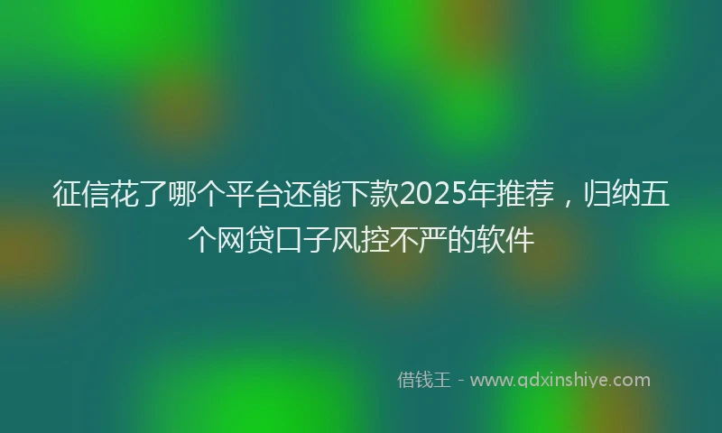 征信花了哪个平台还能下款2025年推荐，归纳五个网贷口子风控不严的软件