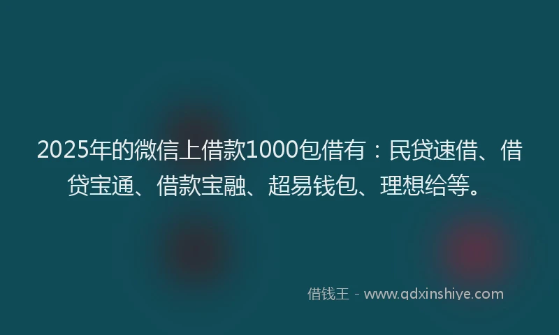 2025年的微信上借款1000包借有：民贷速借、借贷宝通、借款宝融、超易钱包、理想给等。