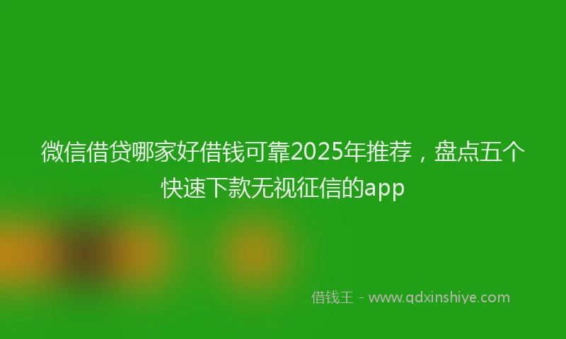 微信借贷哪家好借钱可靠2025年推荐，盘点五个快速下款无视征信的app