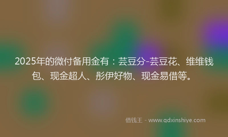 2025年的微付备用金有：芸豆分-芸豆花、维维钱包、现金超人、彤伊好物、现金易借等。