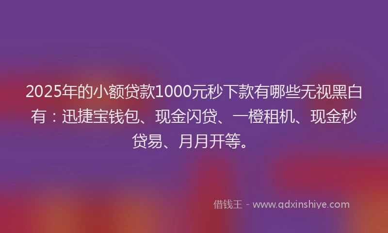 2025年的小额贷款1000元秒下款有哪些无视黑白有：迅捷宝钱包、现金闪贷、一橙租机、现金秒贷易、月月开等。