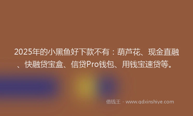 2025年的小黑鱼好下款不有：葫芦花、现金直融、快融贷宝盒、信贷Pro钱包、用钱宝速贷等。