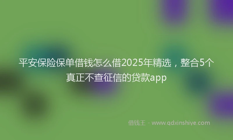 平安保险保单借钱怎么借2025年精选，整合5个真正不查征信的贷款app