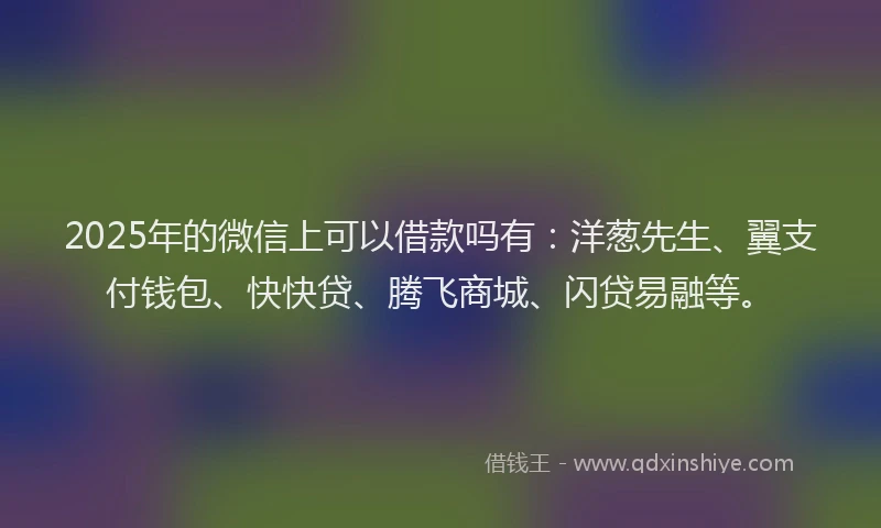 2025年的微信上可以借款吗有：洋葱先生、翼支付钱包、快快贷、腾飞商城、闪贷易融等。