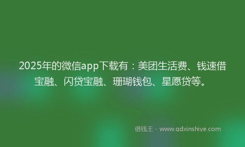 2025年的微信app下载有：美团生活费、钱速借宝融、闪贷宝融、珊瑚钱包、星愿贷等。