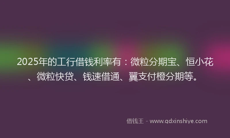 2025年的工行借钱利率有：微粒分期宝、恒小花、微粒快贷、钱速借通、翼支付橙分期等。
