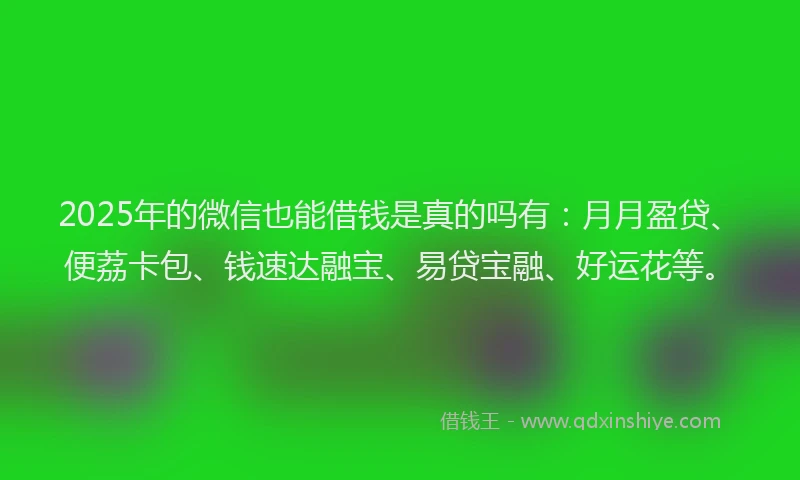 2025年的微信也能借钱是真的吗有：月月盈贷、便荔卡包、钱速达融宝、易贷宝融、好运花等。
