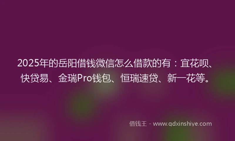 2025年的岳阳借钱微信怎么借款的有：宜花呗、快贷易、金瑞Pro钱包、恒瑞速贷、新一花等。