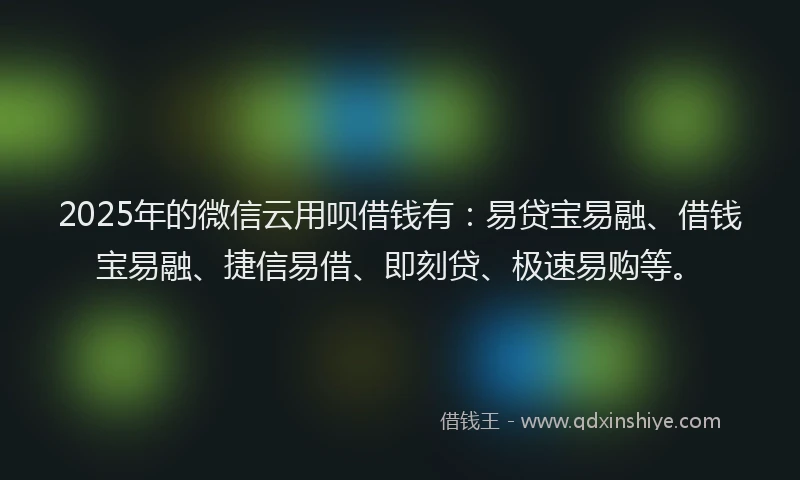 2025年的微信云用呗借钱有：易贷宝易融、借钱宝易融、捷信易借、即刻贷、极速易购等。