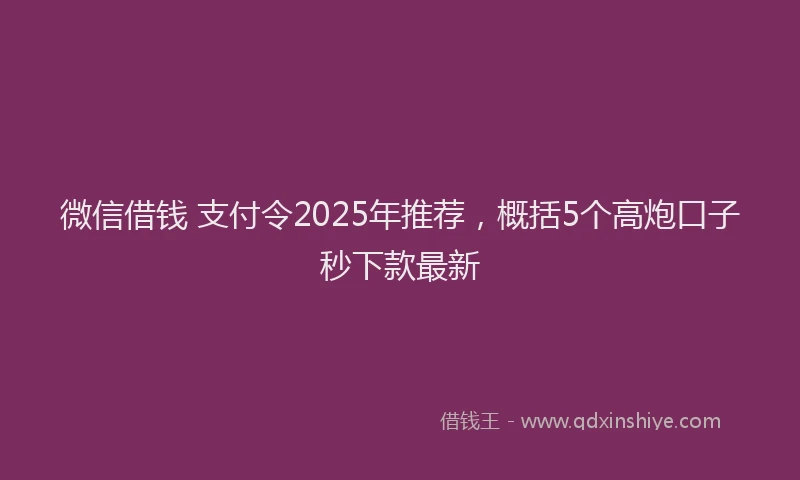 微信借钱 支付令2025年推荐，概括5个高炮口子秒下款最新