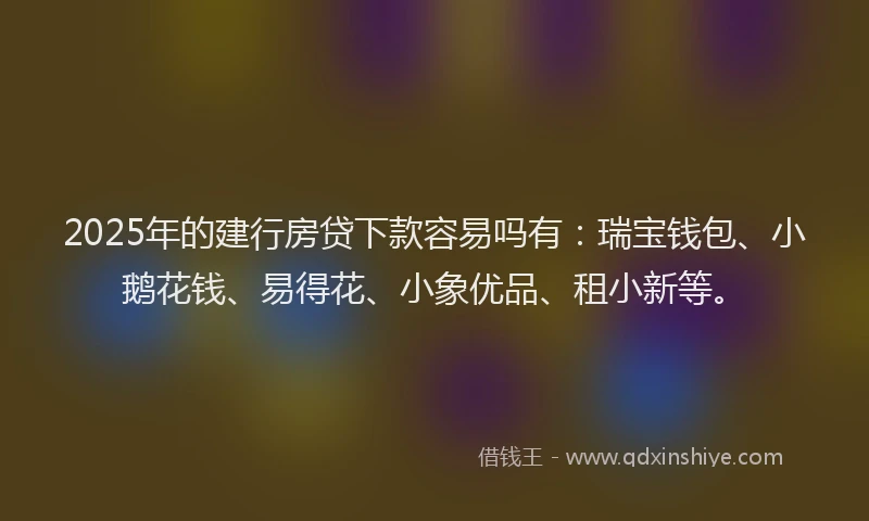 2025年的建行房贷下款容易吗有：瑞宝钱包、小鹅花钱、易得花、小象优品、租小新等。