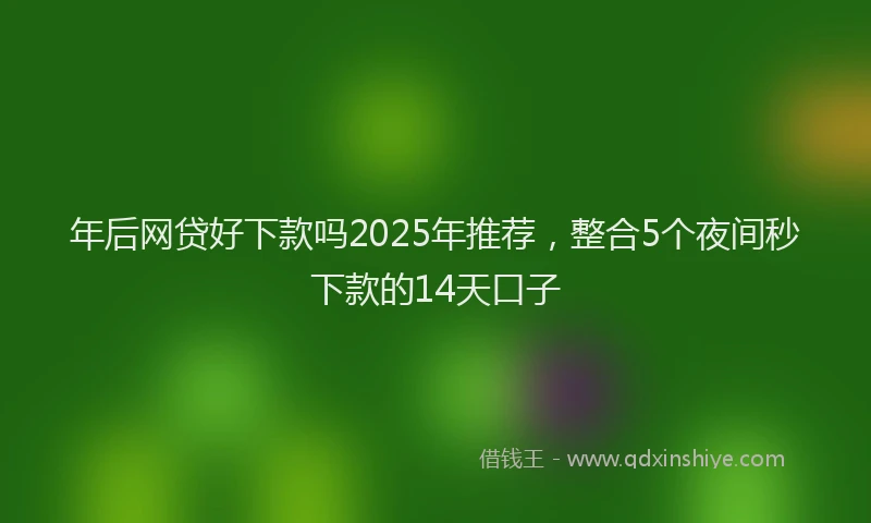 年后网贷好下款吗2025年推荐，整合5个夜间秒下款的14天口子