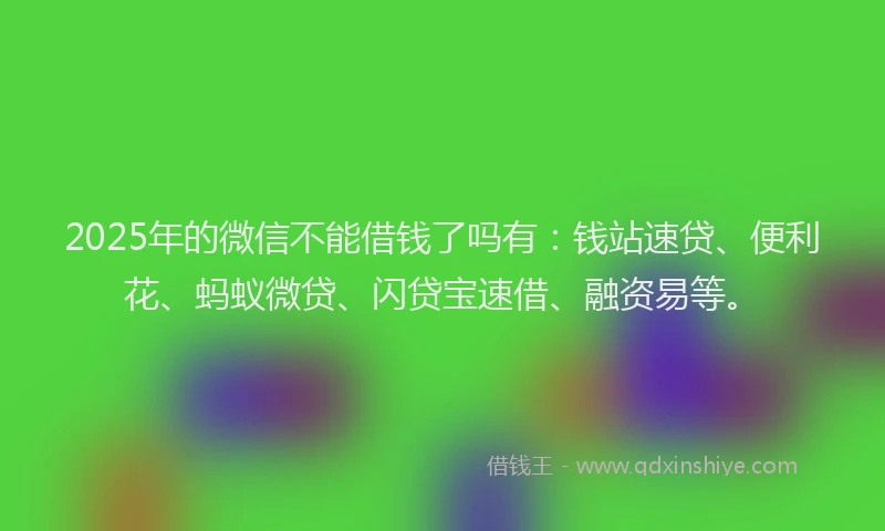 2025年的微信不能借钱了吗有：钱站速贷、便利花、蚂蚁微贷、闪贷宝速借、融资易等。