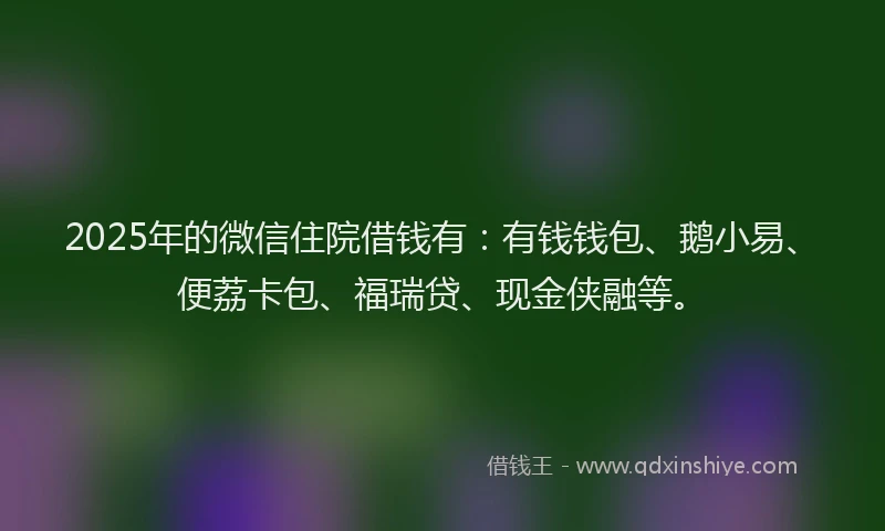 2025年的微信住院借钱有：有钱钱包、鹅小易、便荔卡包、福瑞贷、现金侠融等。
