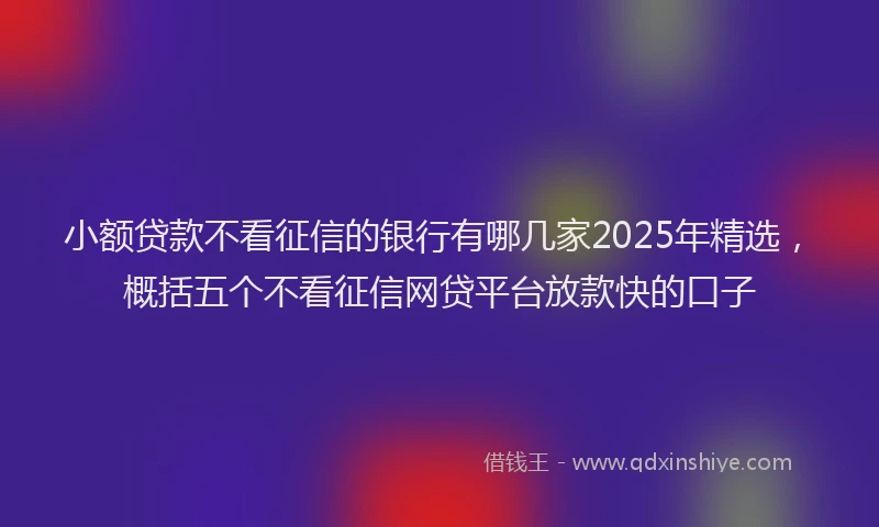 小额贷款不看征信的银行有哪几家2025年精选，概括五个不看征信网贷平台放款快的口子