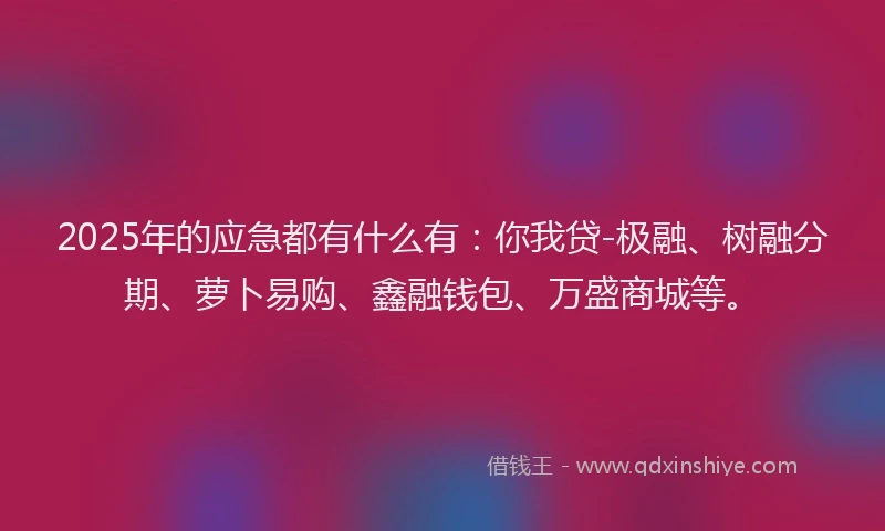 2025年的应急都有什么有：你我贷-极融、树融分期、萝卜易购、鑫融钱包、万盛商城等。