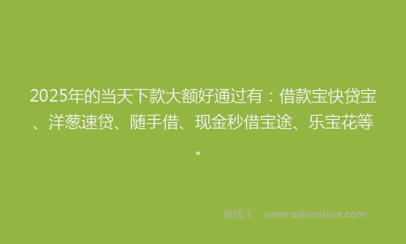 2025年的当天下款大额好通过有：借款宝快贷宝、洋葱速贷、随手借、现金秒借宝途、乐宝花等。