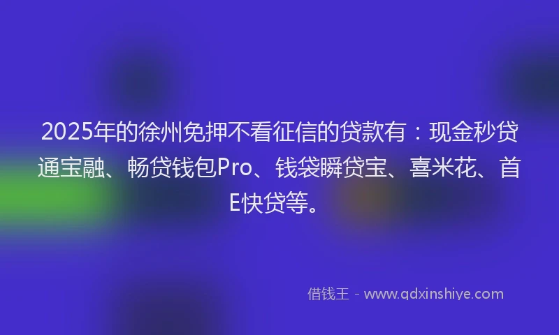 2025年的徐州免押不看征信的贷款有：现金秒贷通宝融、畅贷钱包Pro、钱袋瞬贷宝、喜米花、首E快贷等。