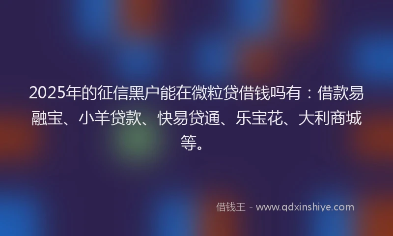 2025年的征信黑户能在微粒贷借钱吗有：借款易融宝、小羊贷款、快易贷通、乐宝花、大利商城等。