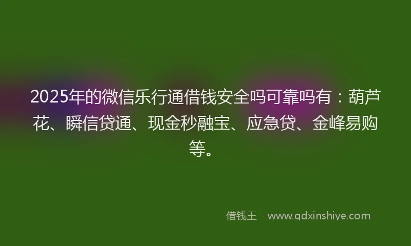 2025年的微信乐行通借钱安全吗可靠吗有：葫芦花、瞬信贷通、现金秒融宝、应急贷、金峰易购等。