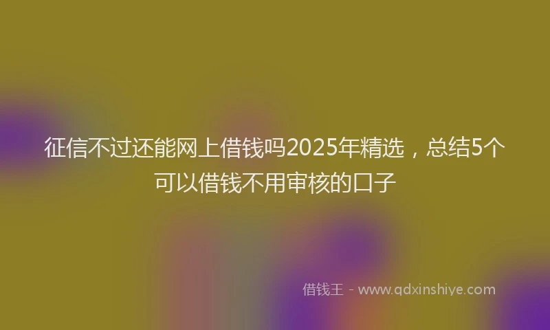 征信不过还能网上借钱吗2025年精选，总结5个可以借钱不用审核的口子
