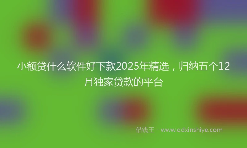 小额贷什么软件好下款2025年精选，归纳五个12月独家贷款的平台