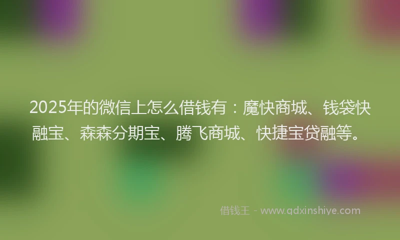 2025年的微信上怎么借钱有：魔快商城、钱袋快融宝、森森分期宝、腾飞商城、快捷宝贷融等。