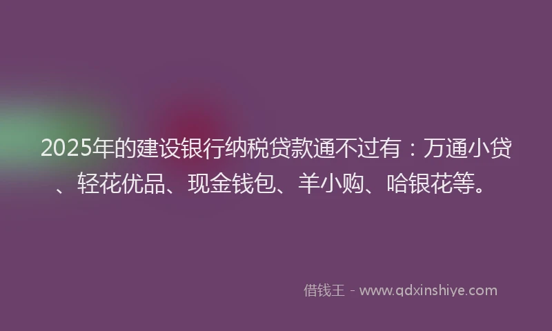 2025年的建设银行纳税贷款通不过有：万通小贷、轻花优品、现金钱包、羊小购、哈银花等。