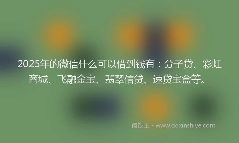 2025年的微信什么可以借到钱有：分子贷、彩虹商城、飞融金宝、翡翠信贷、速贷宝盒等。