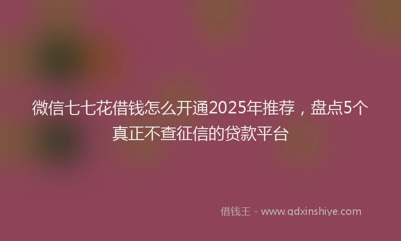 微信七七花借钱怎么开通2025年推荐，盘点5个真正不查征信的贷款平台