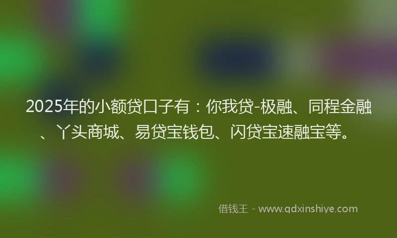 2025年的小额贷口子有：你我贷-极融、同程金融、丫头商城、易贷宝钱包、闪贷宝速融宝等。