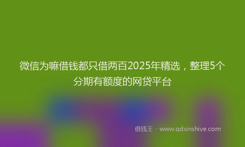 微信为嘛借钱都只借两百2025年精选，整理5个分期有额度的网贷平台
