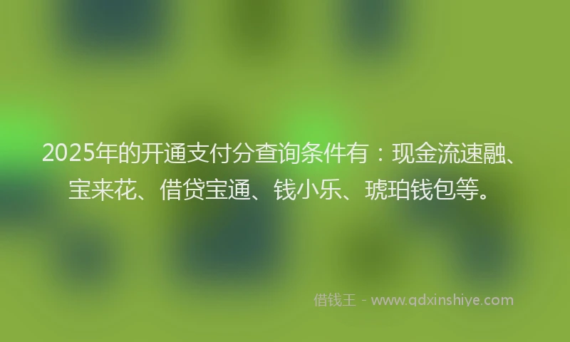 2025年的开通支付分查询条件有：现金流速融、宝来花、借贷宝通、钱小乐、琥珀钱包等。