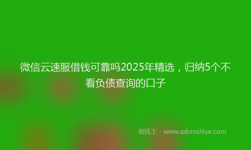微信云速服借钱可靠吗2025年精选，归纳5个不看负债查询的口子