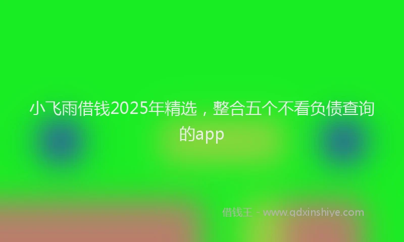 小飞雨借钱2025年精选，整合五个不看负债查询的app
