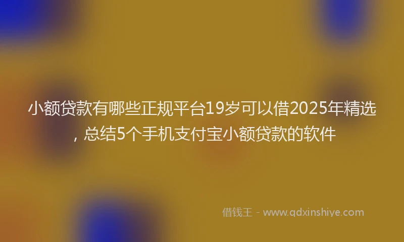 小额贷款有哪些正规平台19岁可以借2025年精选，总结5个手机支付宝小额贷款的软件