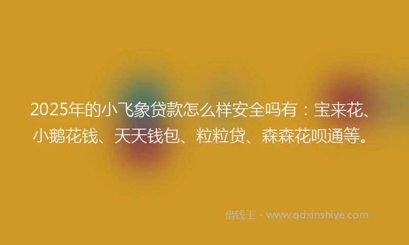 2025年的小飞象贷款怎么样安全吗有：宝来花、小鹅花钱、天天钱包、粒粒贷、森森花呗通等。